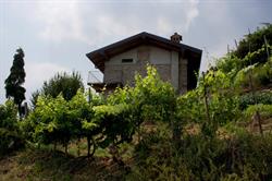 Cascina Limonta