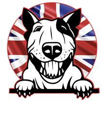 Bull&Dog Store