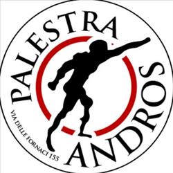 Palestra Andros