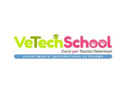 VeTech School