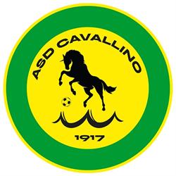 Calcio Cavallino