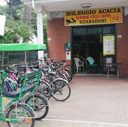 Noleggio Acacia