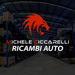Ricambi Auto Michele Ciccarelli Srl Napoli (Secondigliano)