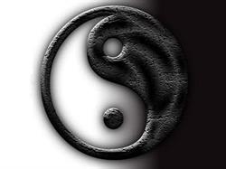 Kung Fu Siracusa - Bagua Zhang
