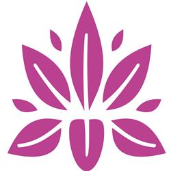 Rasayana Massaggio Ayurveda