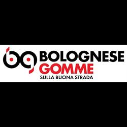 Bolognese Gomme