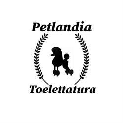 Petlandia Napoli