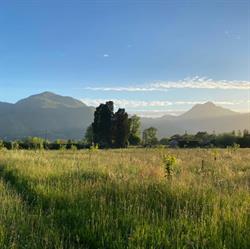 Agriturismo PURO