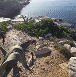 Affittacamere ' Il Giglio' Viale Italia 11 Porto Azzurro