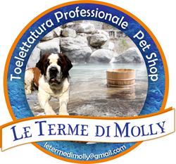 LE TERME DI MOLLY