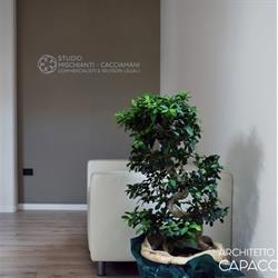 Studio Mischianti S. & Cacciamani R.