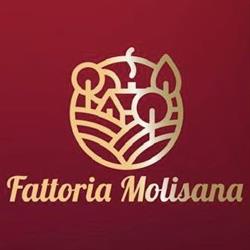 Molise Divino