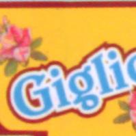 Lavanderia Giglio