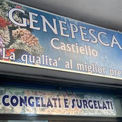 Genepesca Castiello