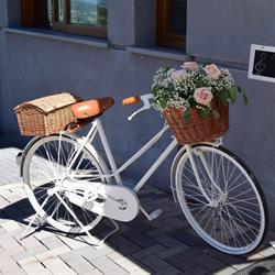 Emozioni Fiorite