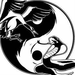 Wing Chun Basement