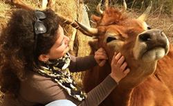 Agriturismo Podere Asche