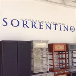 Il negozio delle meraviglie - Sorrentino