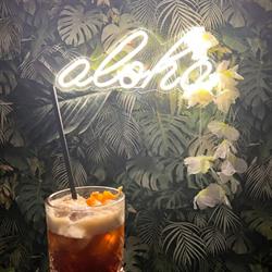 Aloha Aperitivi & Cocktails Frascati