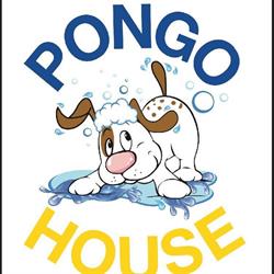 Pongo House
