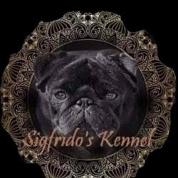 Sigfrido's Kennel