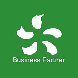 Punto Edison Business Partner