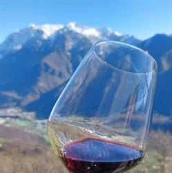 IndoVino - Az. Agr. Citterio Mattia