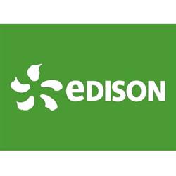 Punto Edison Business Partner