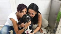 Ambulatorio Veterinario Imma & Ammi