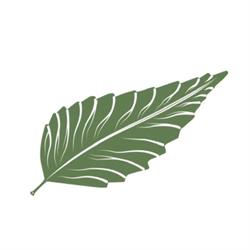 L'essenziale
