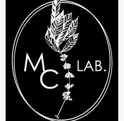 MC-lab