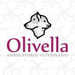 Ambulatorio Veterinario Olivella