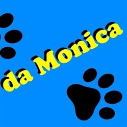 Toelettatura da Monica CUVEGLIO (VA)