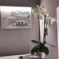 Mani Di Velluto Estetica