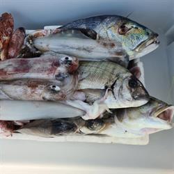 AMOR DI MARE - Pescheria