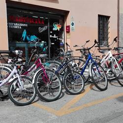 Ciclofficina Enzo