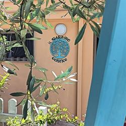 Il giardino olistico di Franca Brontu