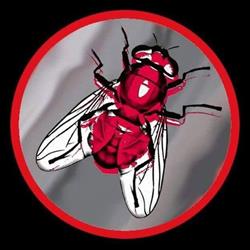Mosca's Skin Tattoo