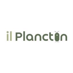 Hostel Il Plancton Vía Crescenzio 43
