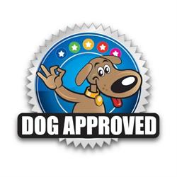 Dog Shower point Mondragone