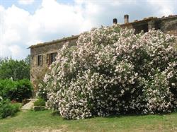Agriturismo Ferienwohnungen Landgut Podere Carbone Toscana