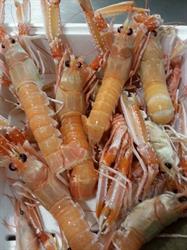 Pescheria Raffaele