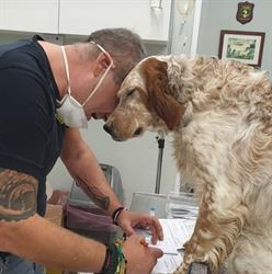Ambulatorio Veterinario Dott.Luca Pasquali