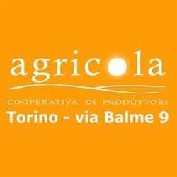 Agricola Torino - via Balme 9