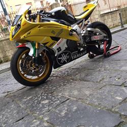 Lollo Race - Energy Moto