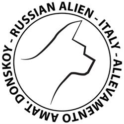 Russian Alien - Allevamento gatti della razza Don Sphynx