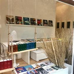 Libri e Collane d'Autore