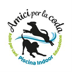 Amici per la Coda