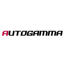 Autogamma Srls AUTOFFICINA