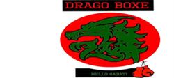 DRAGO boxing Nello Sabbati